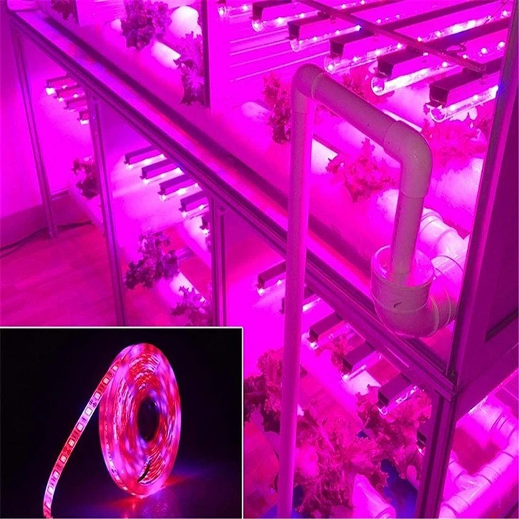 Led Plant Grow Strip Light 2