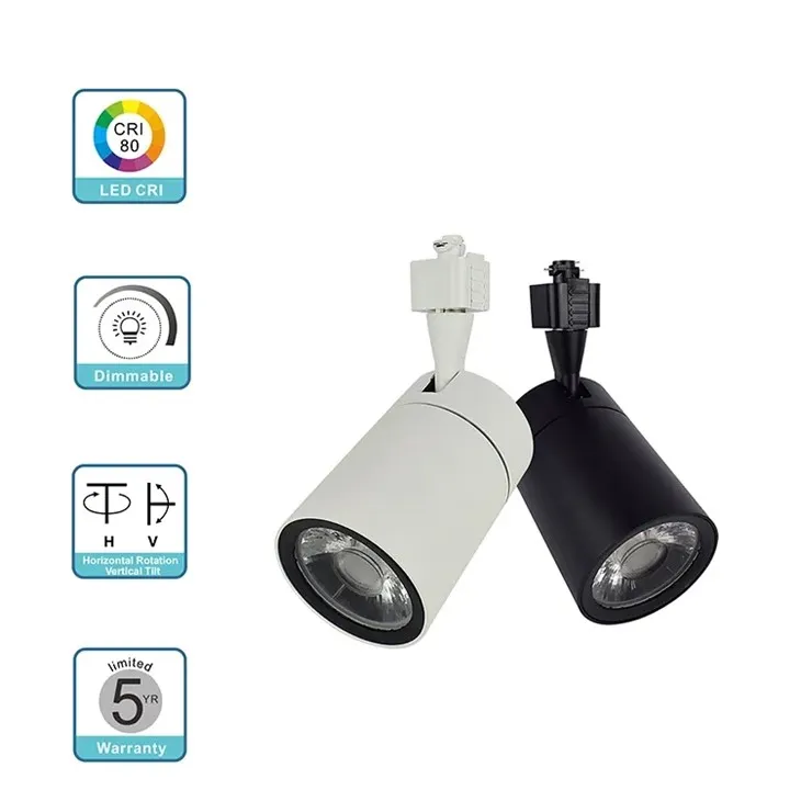 Flush Mount Track Lighting