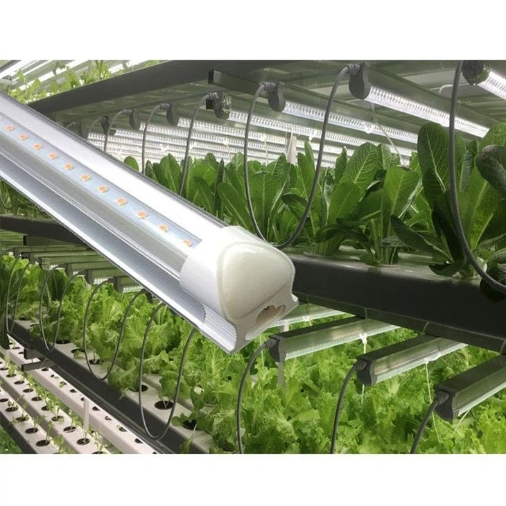 grow lights for plants