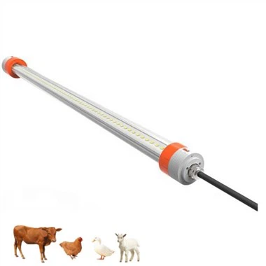 Rándýraljós fyrir hænsnakofa