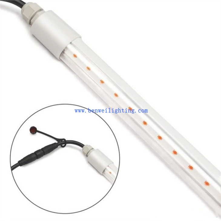 0-12V Dimmable 3000K 12W Chicken Light