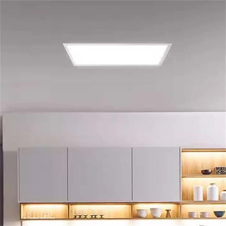 panel light