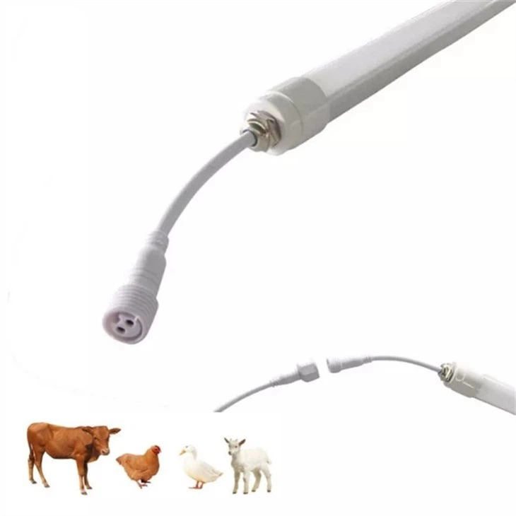 Cow Stable Light