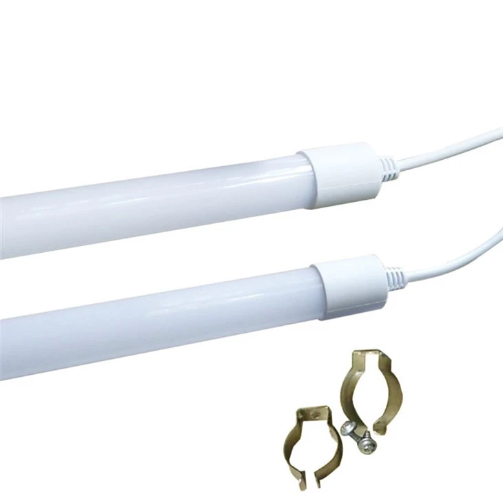 Fowl LED Lighting