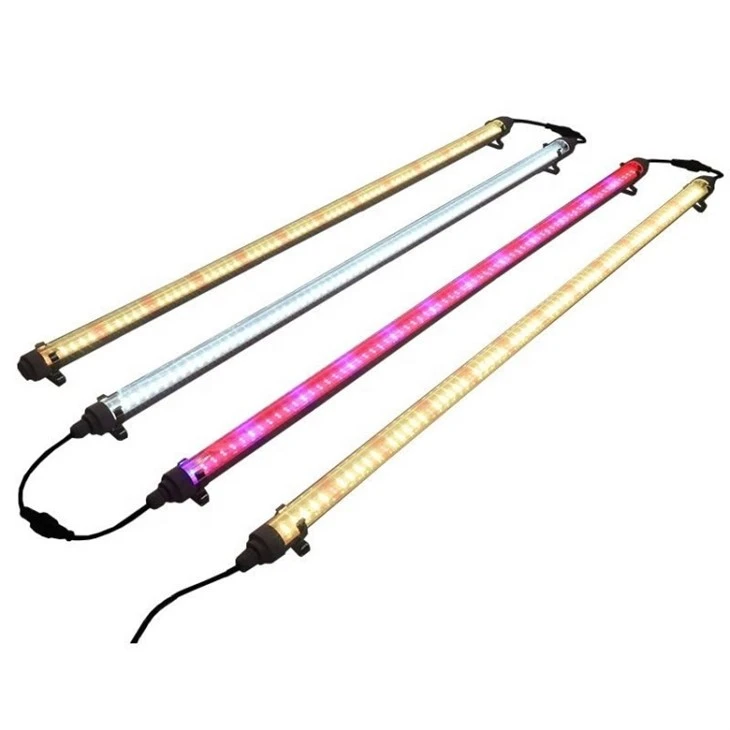 full spectrum led light bulbs