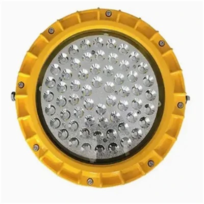 Portable Led sprengivörn ljós flóðljós