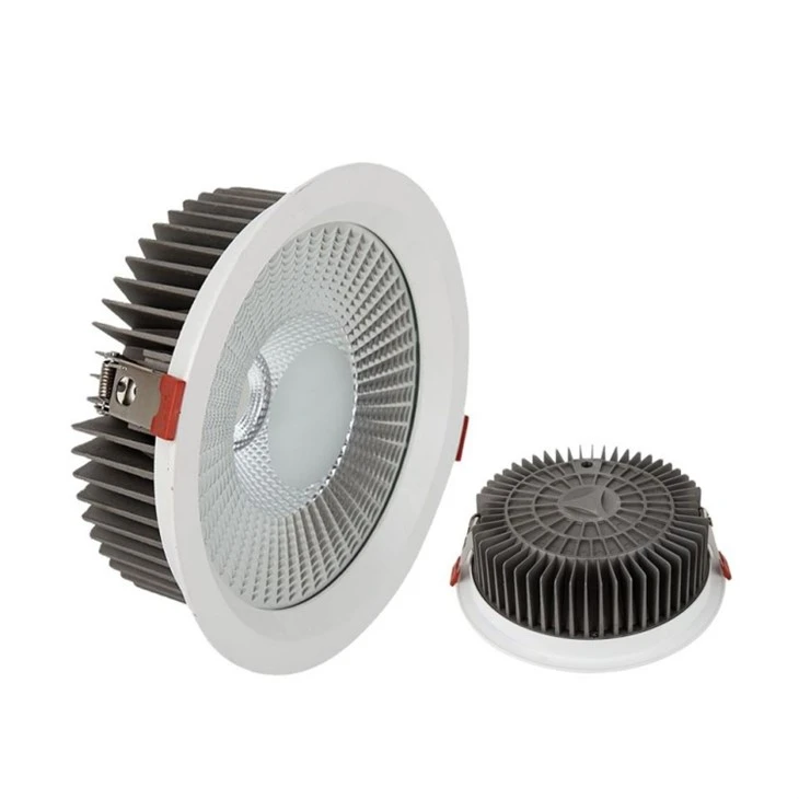 Voice Assistant Integration LED Downlight